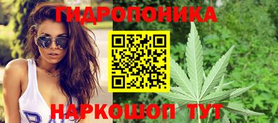первитин Гусев