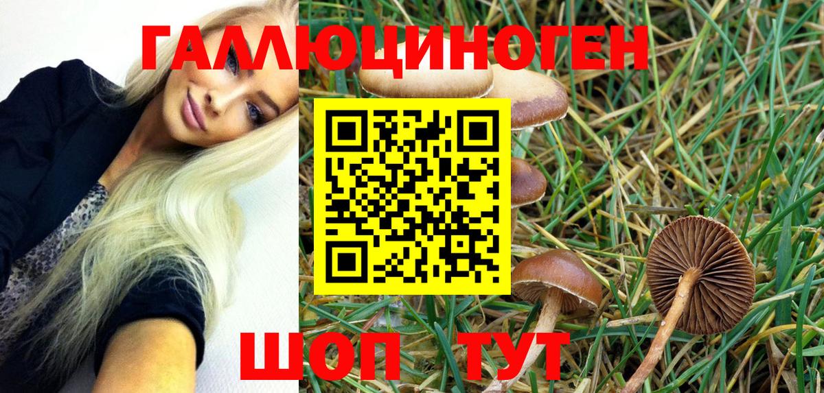 Псилоцибиновые грибы Magic Shrooms  Вход с VPN  купить  цена  Мариинск 