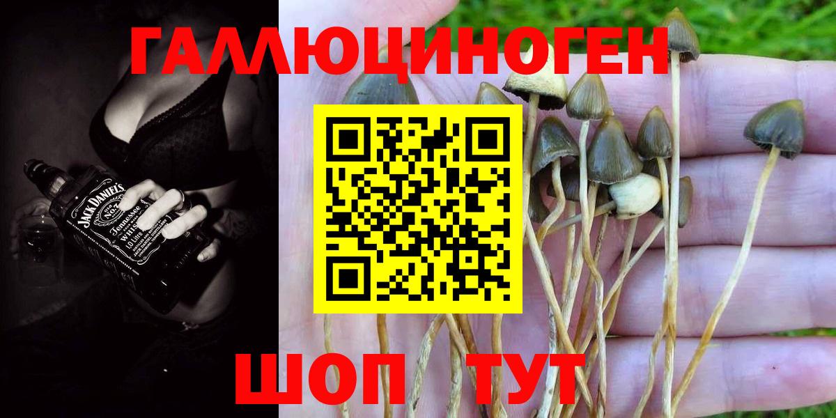 Галлюциногенные грибы Magic Shrooms Мариинск